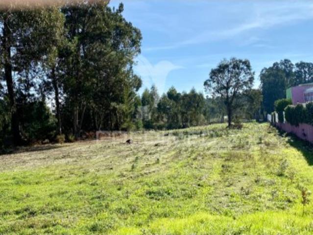 Terreno venda em Vale de Óbidos, Rio Maior