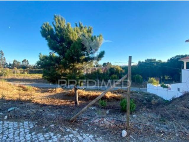 Terreno venda em Rio Maior Terreno venda em Rio Maior