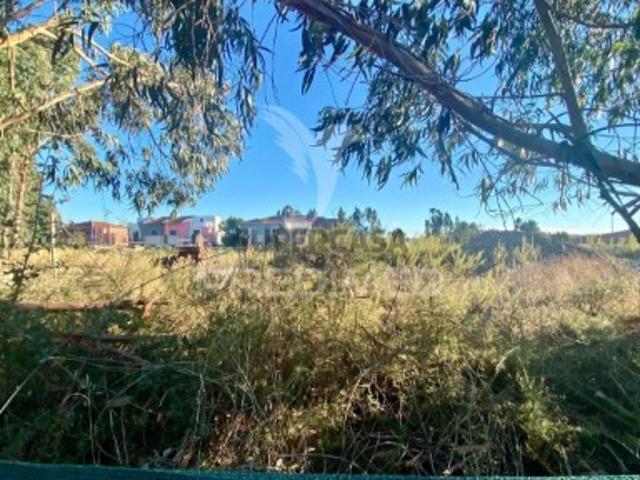 Terreno venda em Rio Maior Terreno venda em Rio Maior