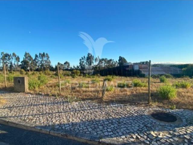 Terreno venda em Rio Maior Terreno venda em Rio Maior
