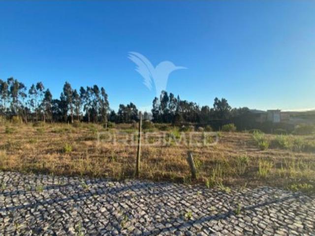 Terreno venda em Rio Maior Terreno venda em Rio Maior