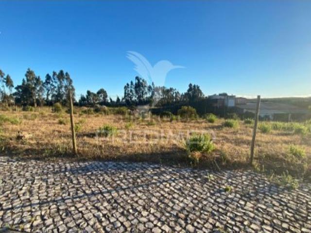 Terreno venda em Rio Maior Terreno venda em Rio Maior
