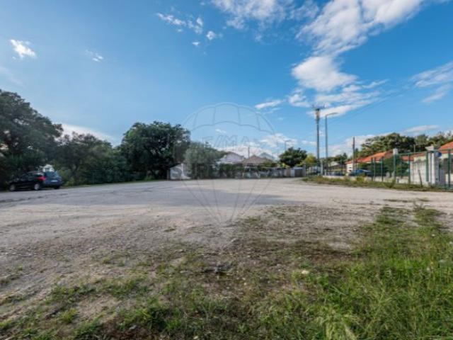 Terreno venda em Rio Maior, Santarém