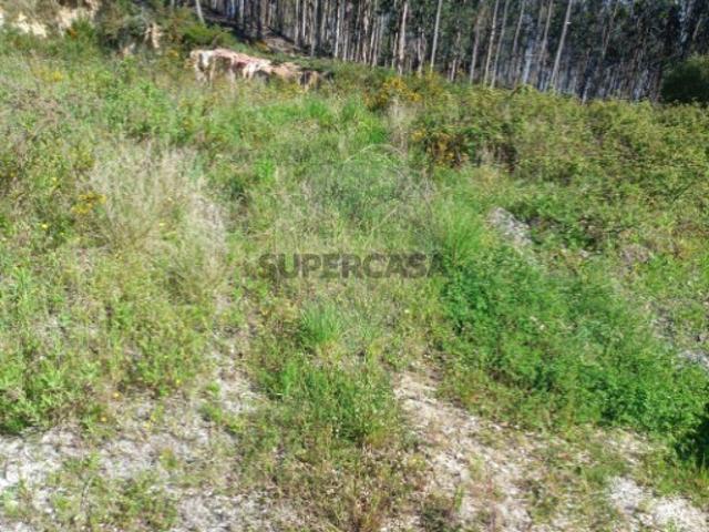 Terreno venda em Casais da Atalaia, Rio Maior