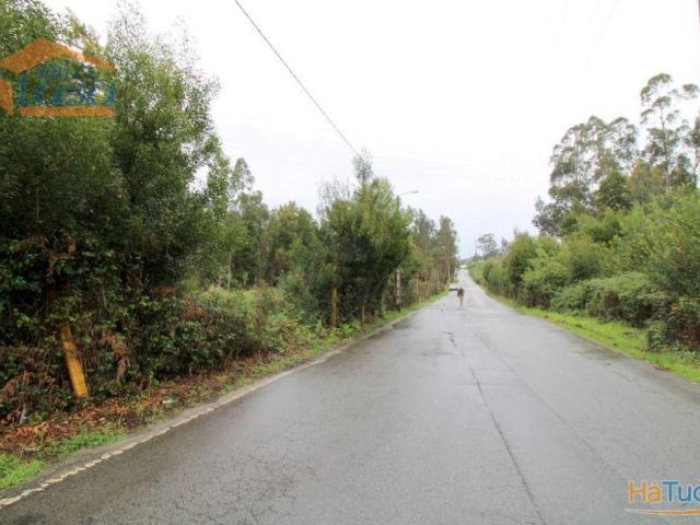 Terreno venda em Santa Maria Da Feira, Aveiro