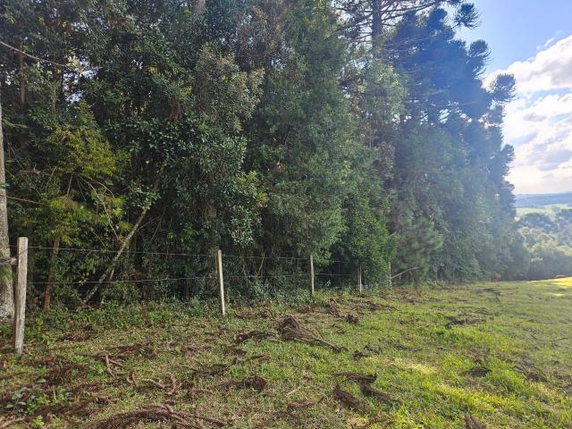 Terreno venda em Araucária, Região Geográfica Intermediária de Curitiba