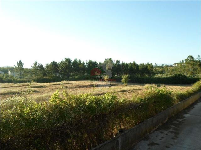 Terreno venda em Castelo Branco, Cumeada