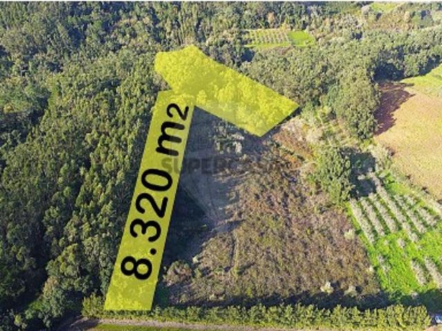 Terreno venda em Bombarral, Leiria