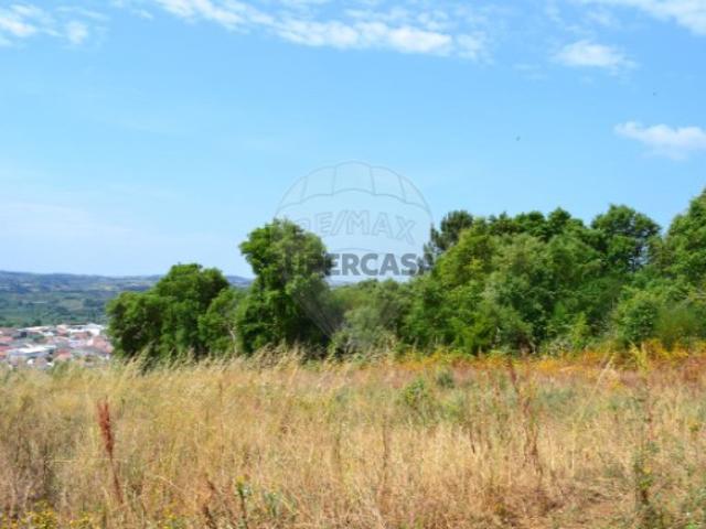 Terreno venda em Delgada, Bombarral
