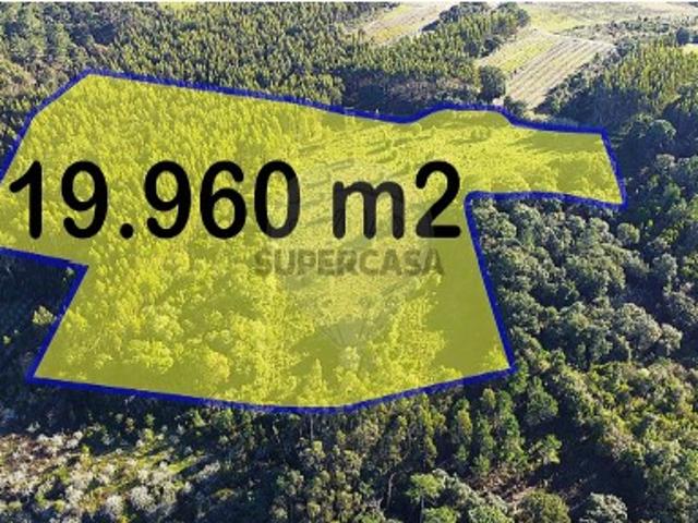 Terreno venda em Delgada, Bombarral