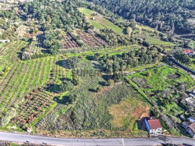 Terreno venda em Delgada, Bombarral
