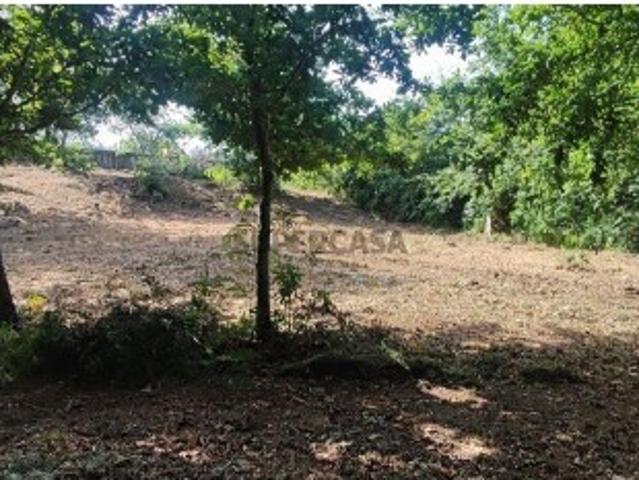 Terreno venda em Cristelo, Viana Do Castelo