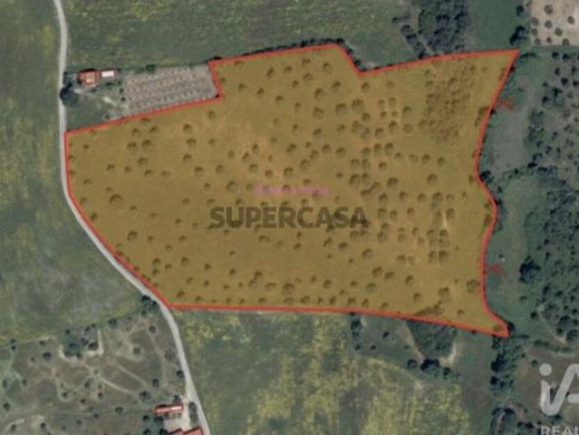 Terreno venda em Santarém