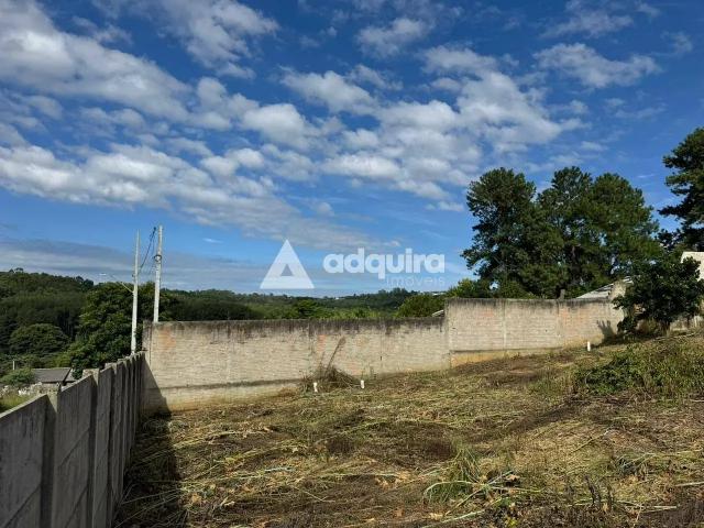 Terreno venda em Ronda, Ponta Grossa