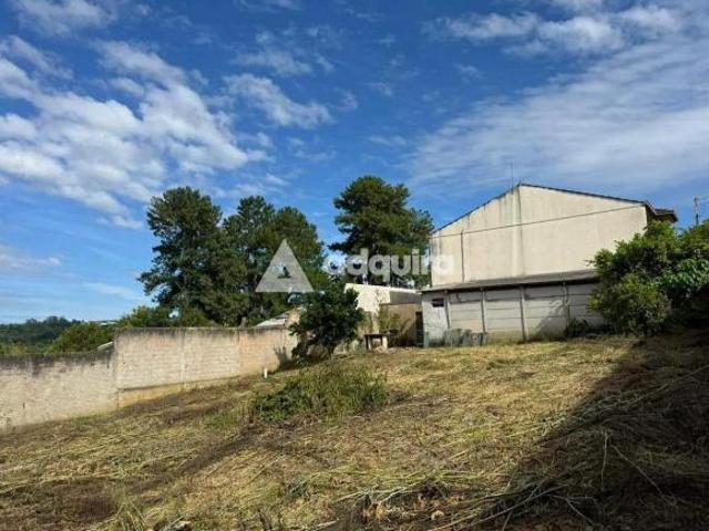 Terreno venda em Ronda, Ponta Grossa