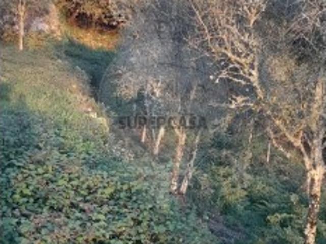 Terreno venda em Covelo de Cima, Parada Do Bouro