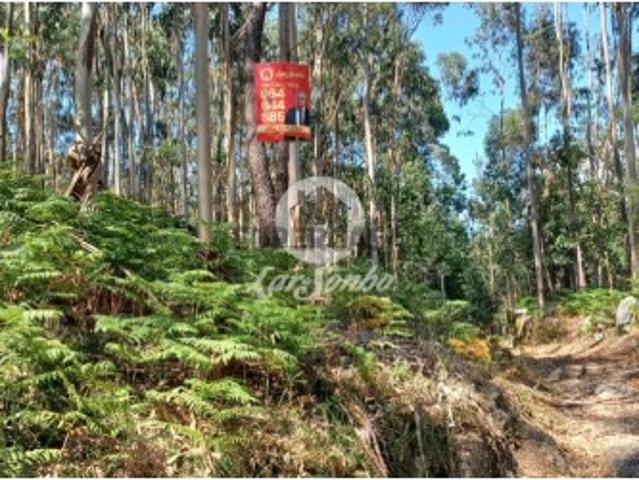 Terreno venda em Gavião, Braga