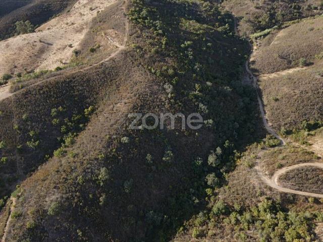 Terreno venda em São Bartolomeu De Messines, Faro