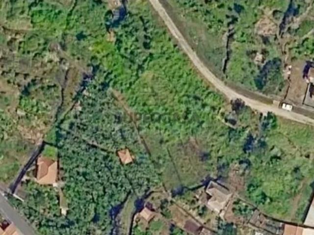 Terreno venda em Caminho D. Mécia, Santa Cruz