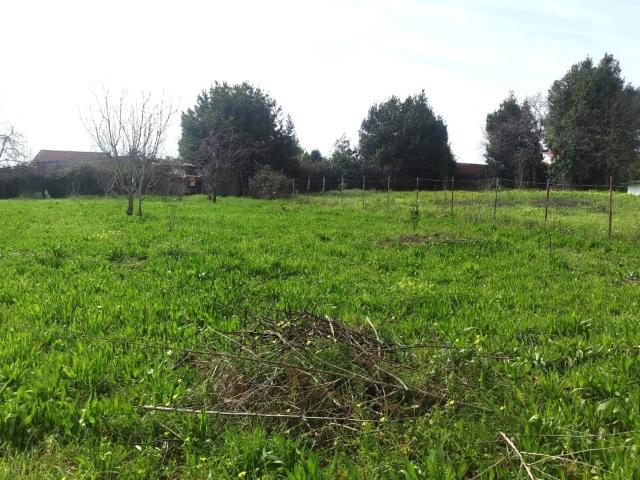 Terreno venda em São João Da Madeira, Aveiro