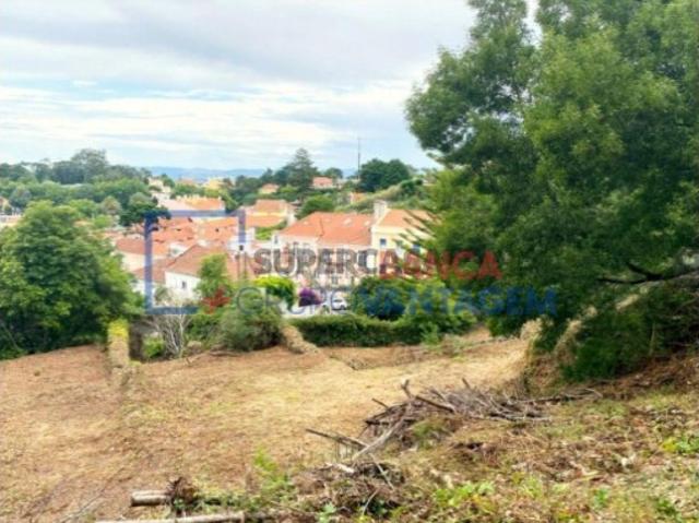 Terreno venda em Sintra, Lisboa