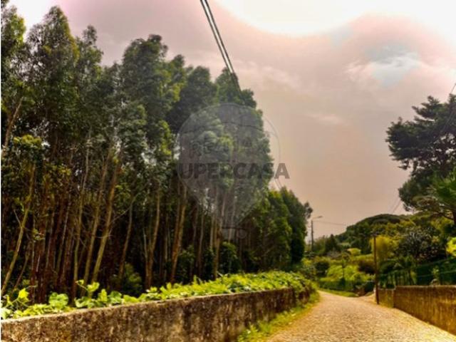 Terreno venda em Chão de Meninos, Sintra