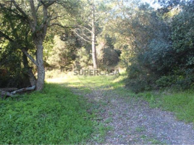 Terreno venda em Cabeço de Manique, Sintra