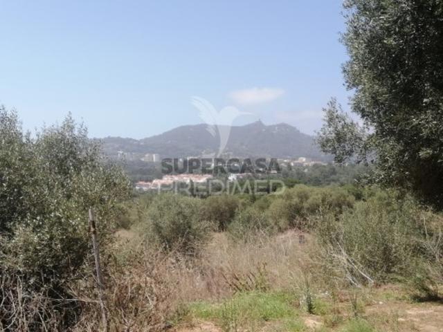 Terreno venda em Sintra, Lisboa