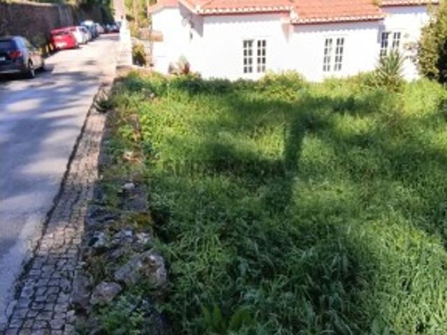 Terreno venda em Sintra, Lisboa