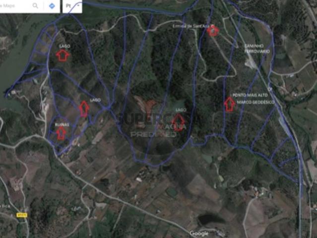 Terreno venda em São Bartolomeu De Messines, Faro