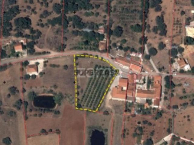 Terreno venda em São Bartolomeu De Messines, Faro