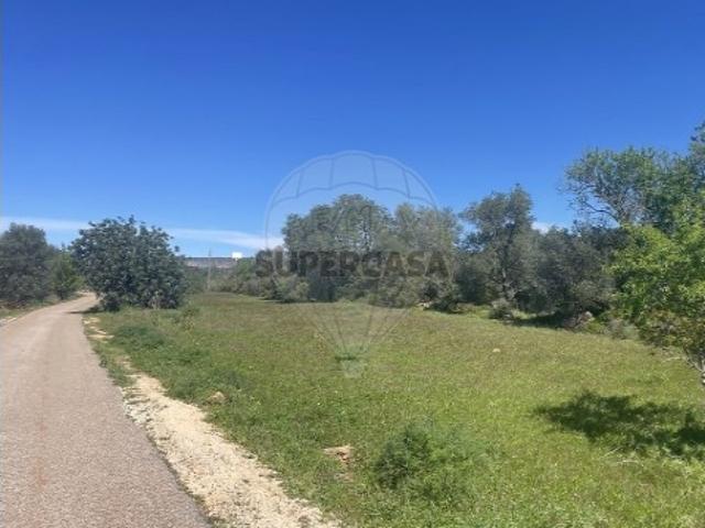 Terreno venda em São Bartolomeu De Messines, Faro