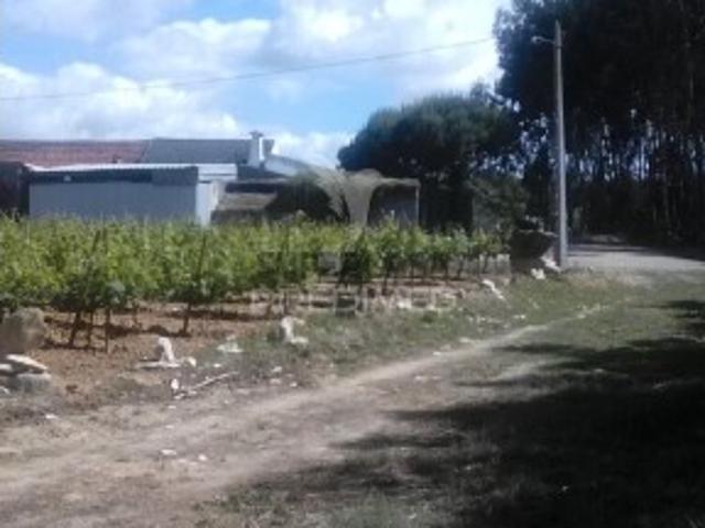 Terreno venda em São Bartolomeu dos Galegos e Moledo, Lourinhã