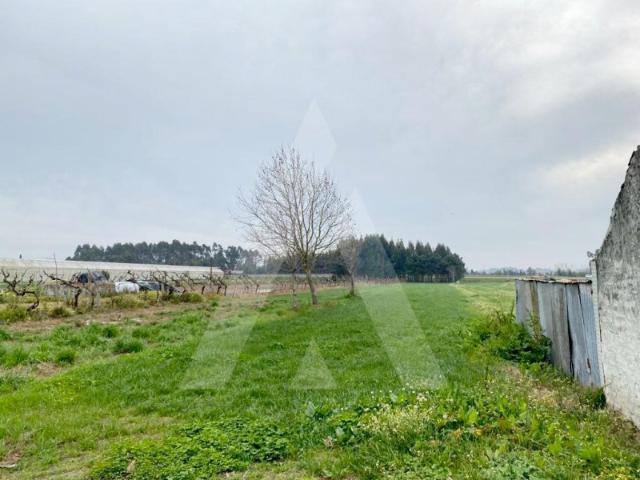 Terreno venda em Aveiro