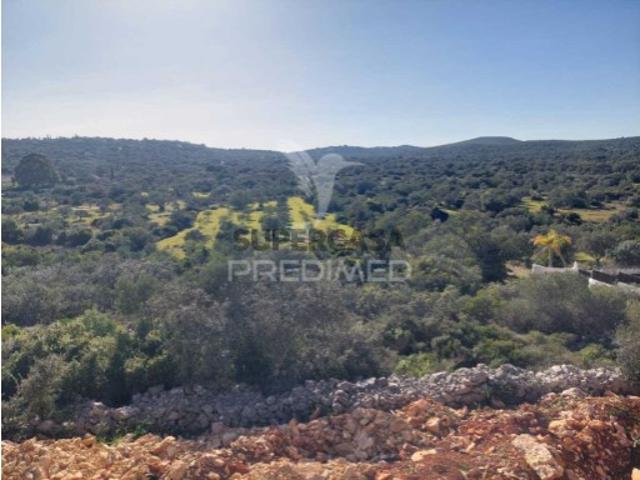 Terreno venda em Corotelo, São Brás De Alportel
