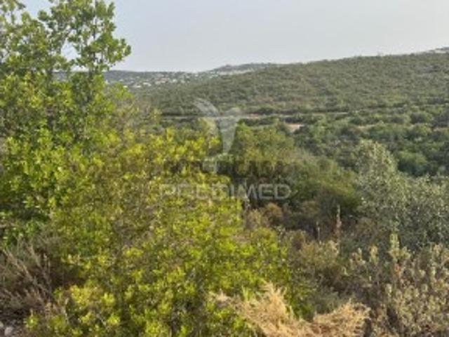 Terreno venda em São Brás De Alportel, Faro