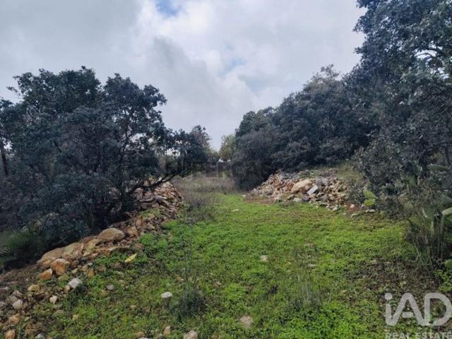 Terreno venda em São Brás De Alportel, Faro