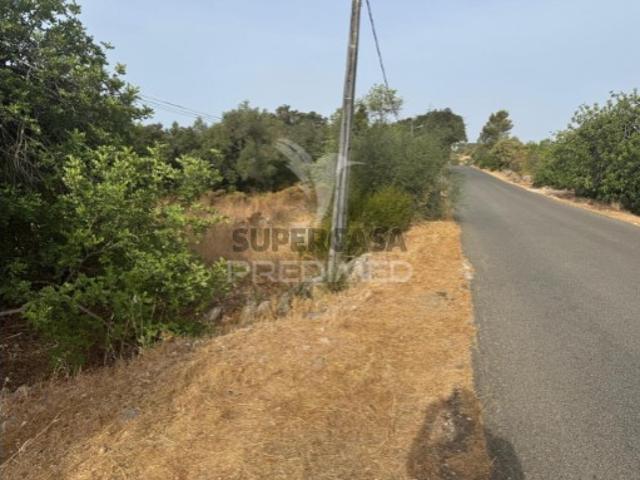 Terreno venda em São Brás De Alportel, Faro