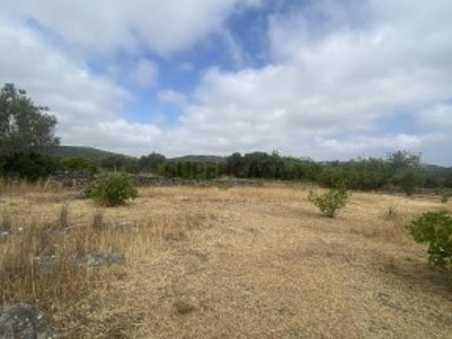Terreno venda em Santa Catarina da Fonte do Bispo, Tavira