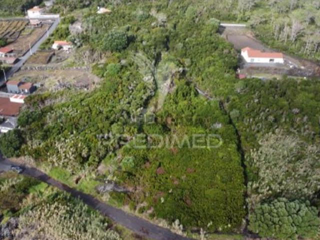 Terreno venda em Açores, Madalena