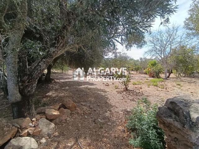 Terreno venda em Loulé, Faro