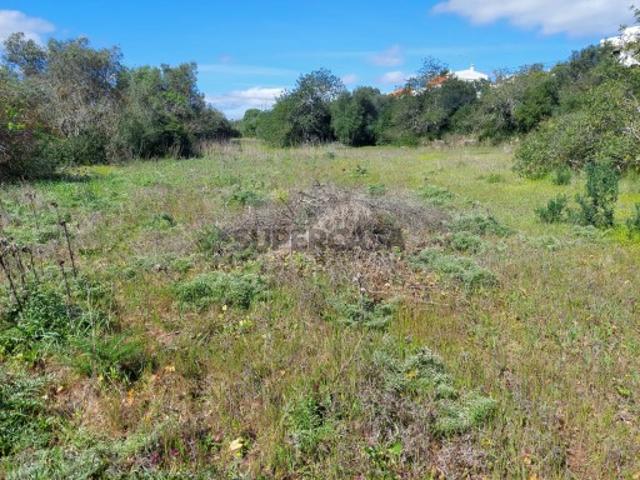 Terreno venda em Parrela, Loulé