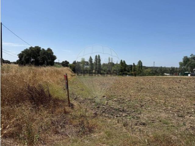 Terreno venda em Silveiras, Montemor-o-novo