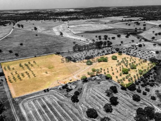 Terreno venda em Silveiras, Montemor-o-novo
