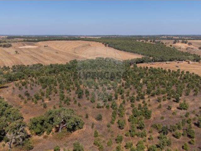 Terreno venda em Cercal, Santiago do Cacém