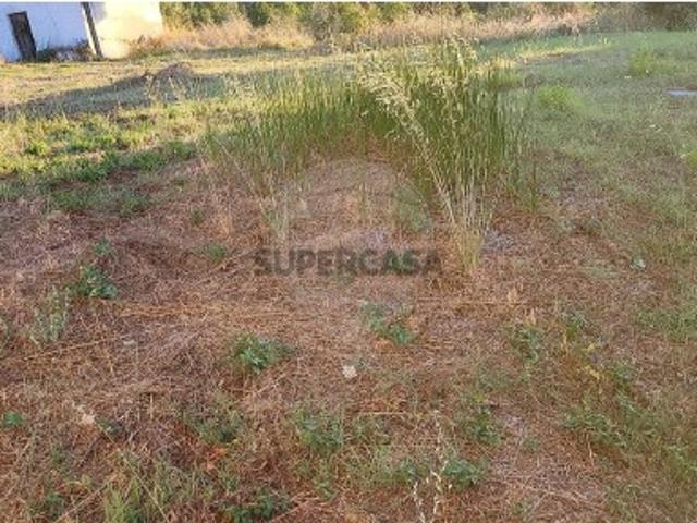 Terreno venda em Abrantes, Santarém