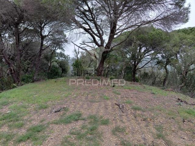Terreno venda em Santiago Do Cacém, Setúbal