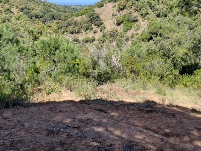 Terreno venda em Santiago Do Cacém, Setúbal