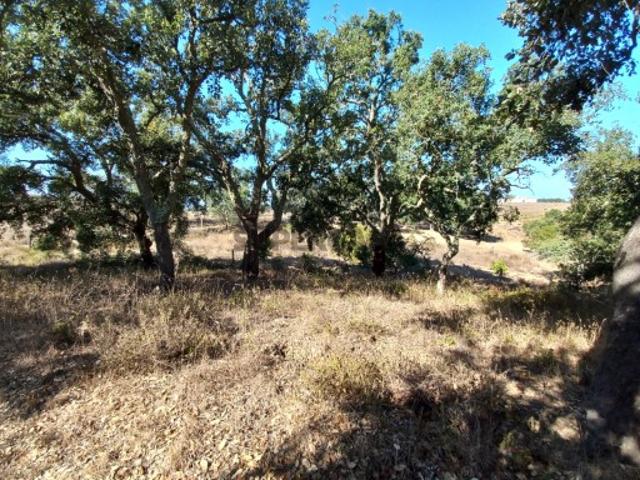 Terreno venda em Santiago Do Cacém, Setúbal