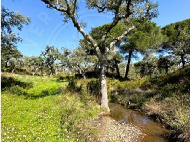 Terreno venda em São Francisco da Serra, Santiago do Cacém